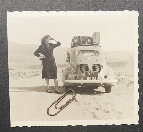 Renault 4cv setif algerie - renault,